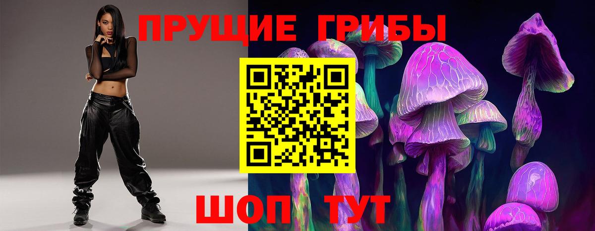 Менделеевск  Псилоцибиновые грибы мухоморы  Вход с VPN 